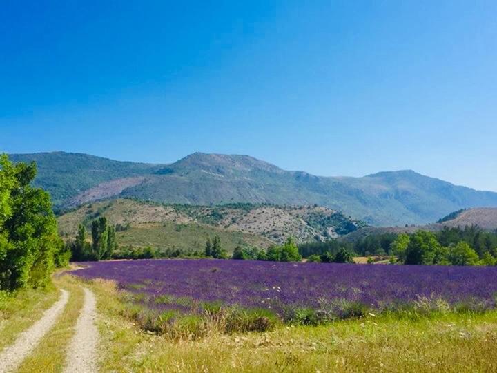 Le Moulin De La Viorne, Gite Avec Piscine Au Coeur De La Nature En Haute-Provence Les Omergues Kültér fotó