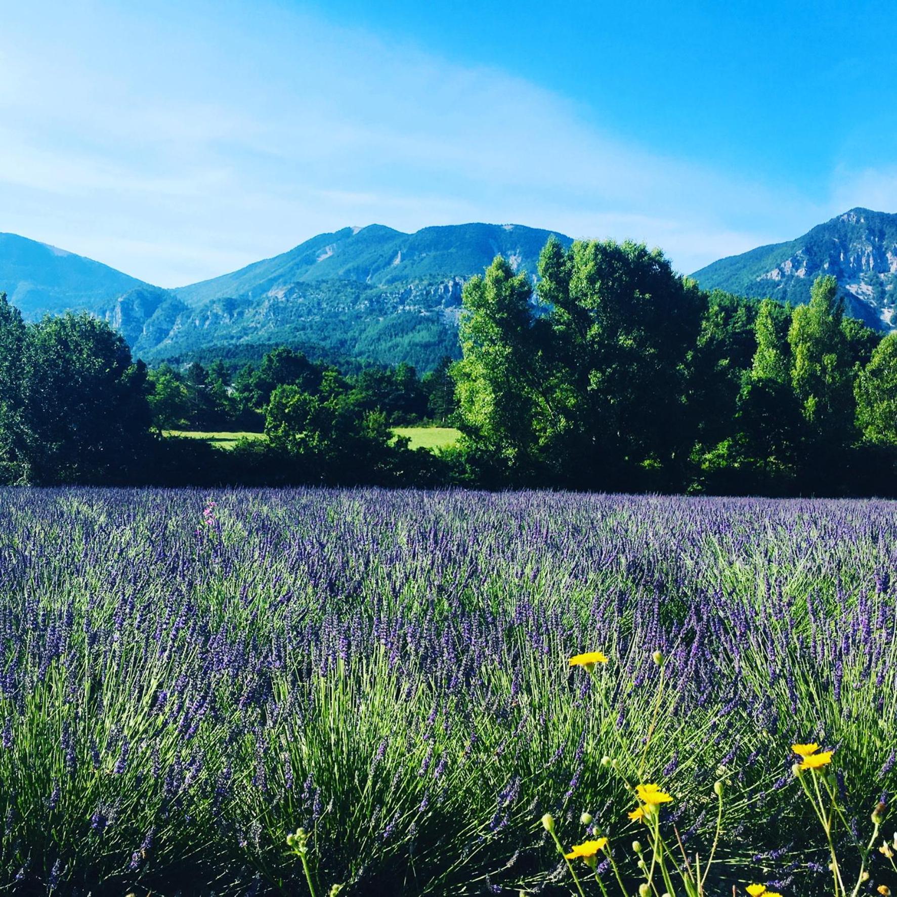 Le Moulin De La Viorne, Gite Avec Piscine Au Coeur De La Nature En Haute-Provence Les Omergues Kültér fotó
