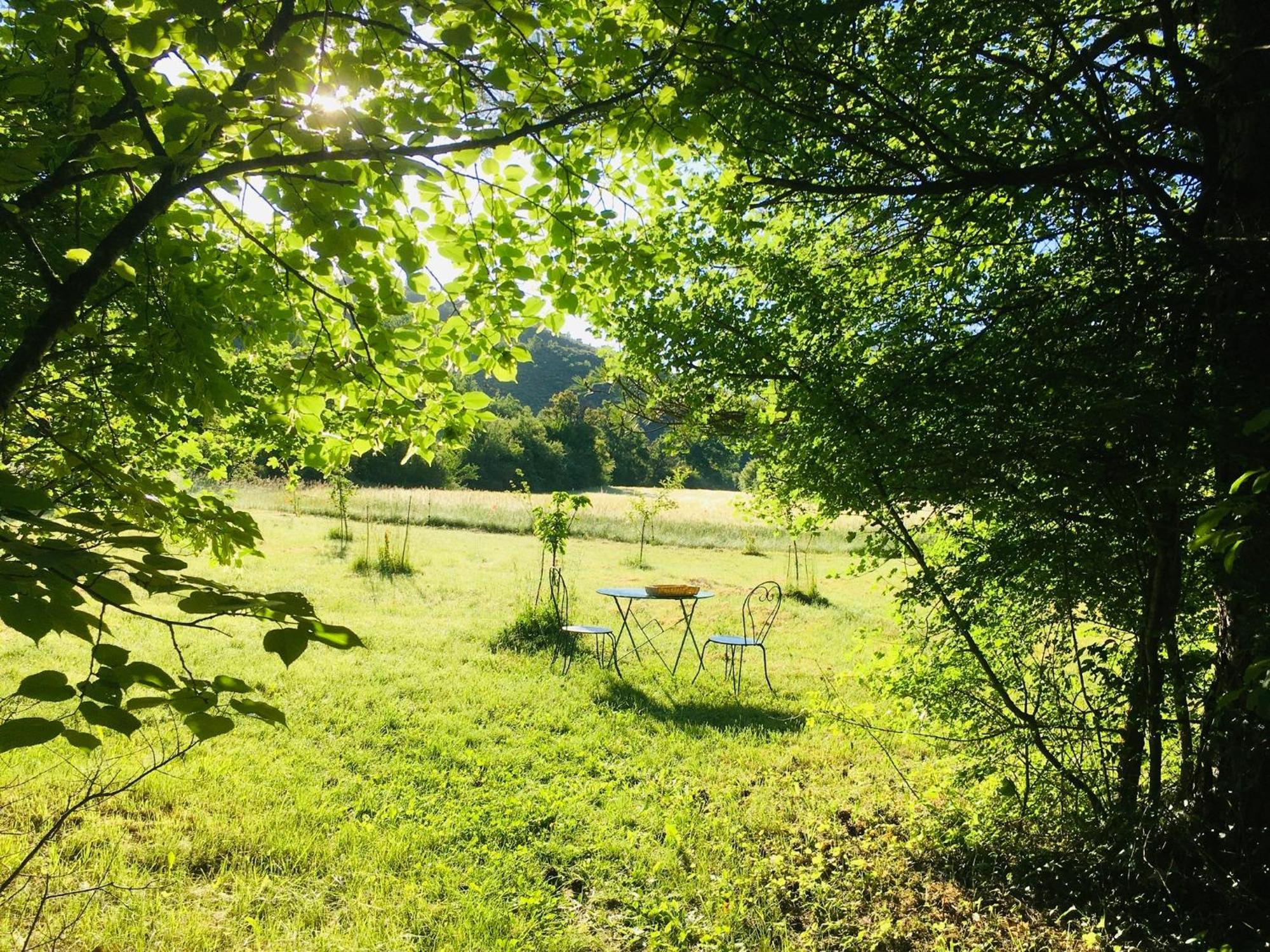 Le Moulin De La Viorne, Gite Avec Piscine Au Coeur De La Nature En Haute-Provence Les Omergues Kültér fotó